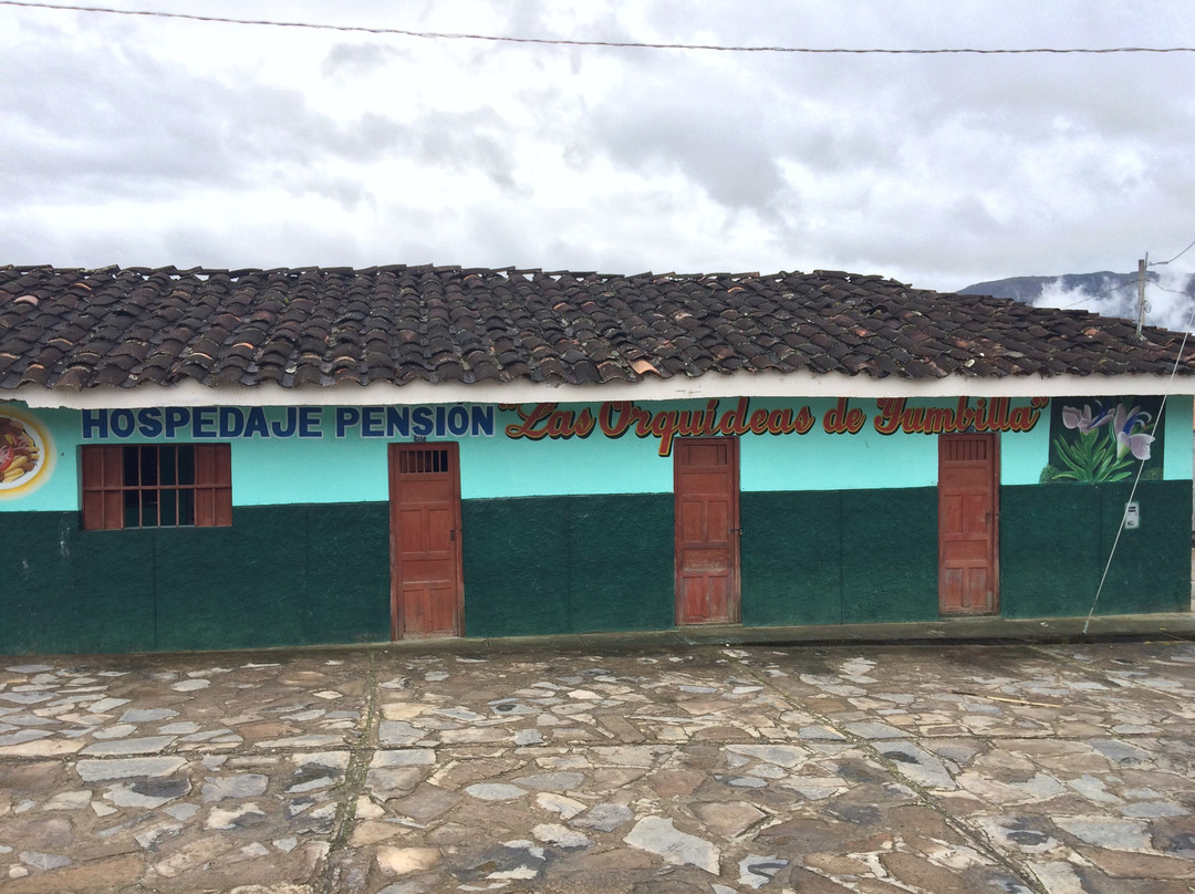 Valera酒店住宿-Hospedaje Pension Las Orquideas De Yumbilla