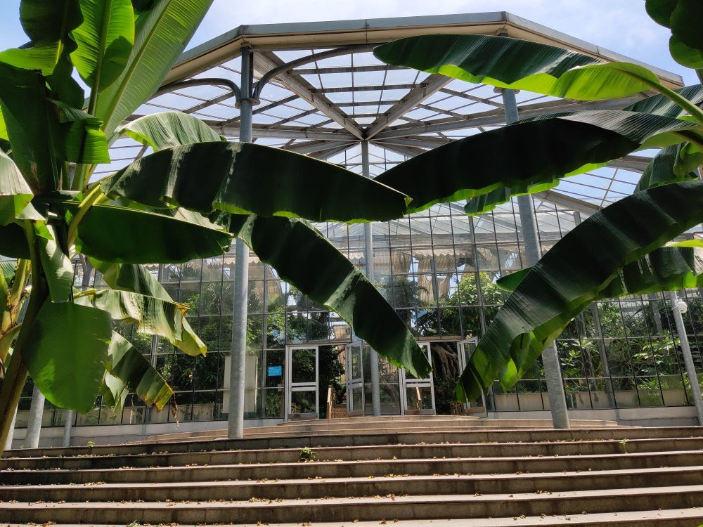 中科院植物园-武汉市必去景点