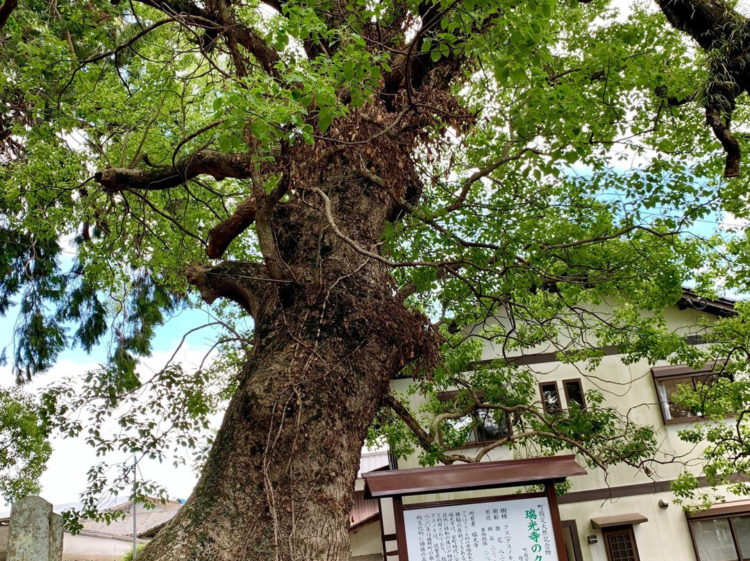 Zuikoji Temple-嬉野市必去景点