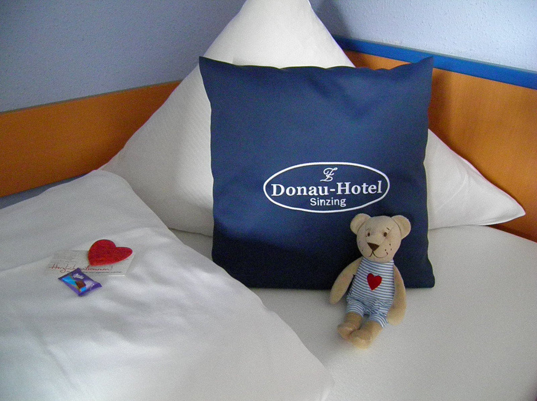 Donau-hotel主图