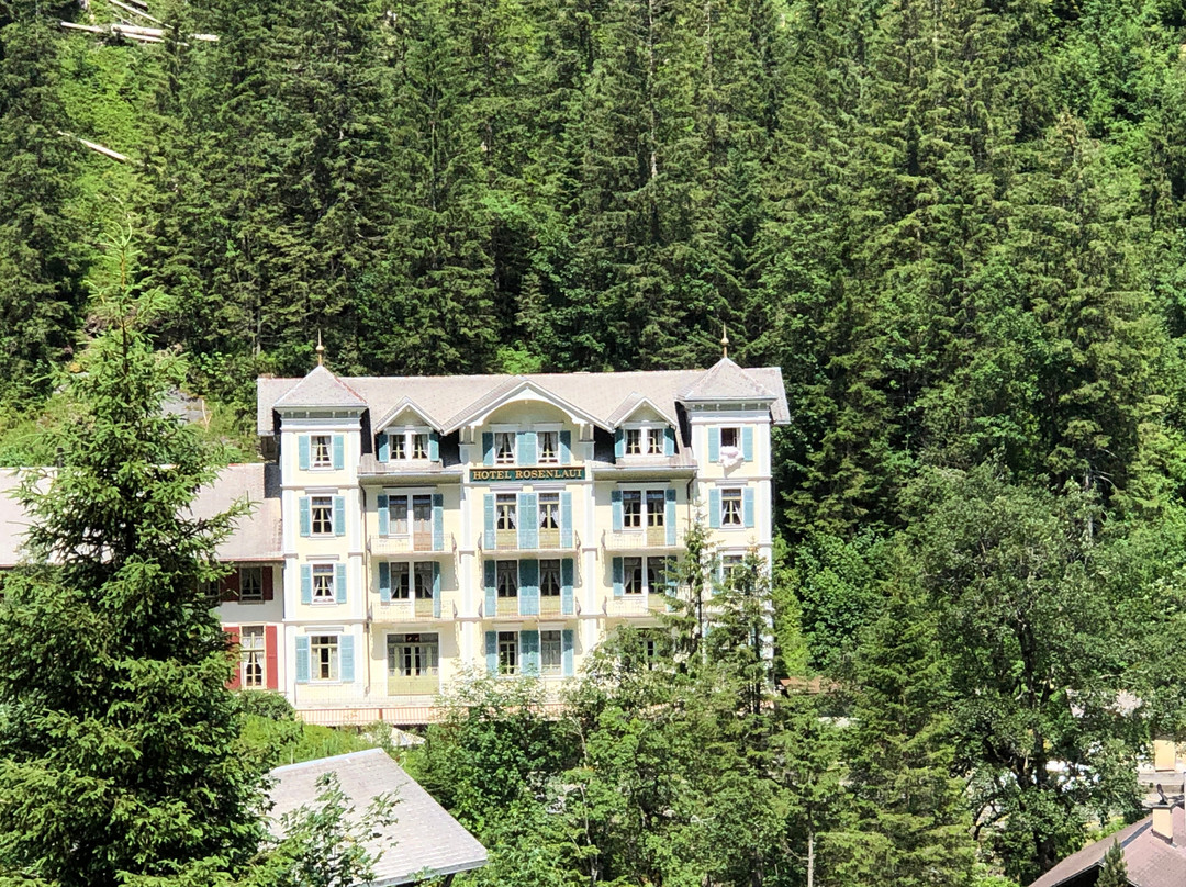 Rosenlaui Hotel主图