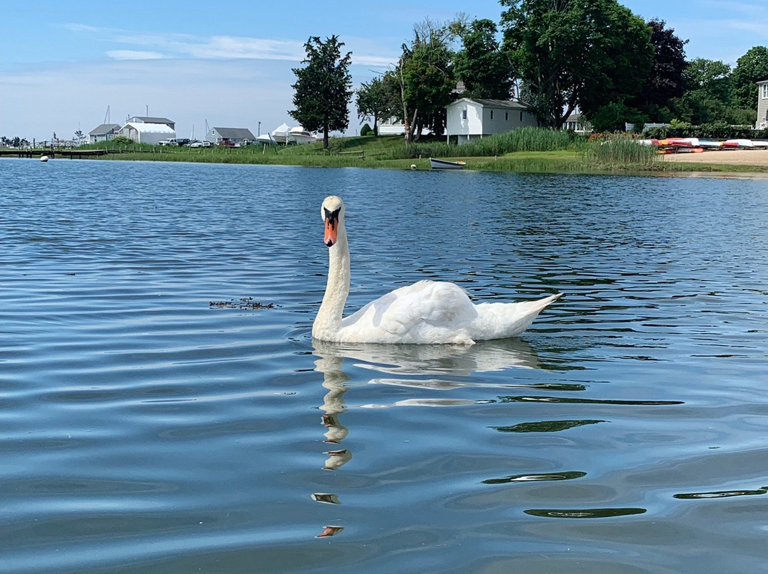 Indian River Marina-Clinton必去景点