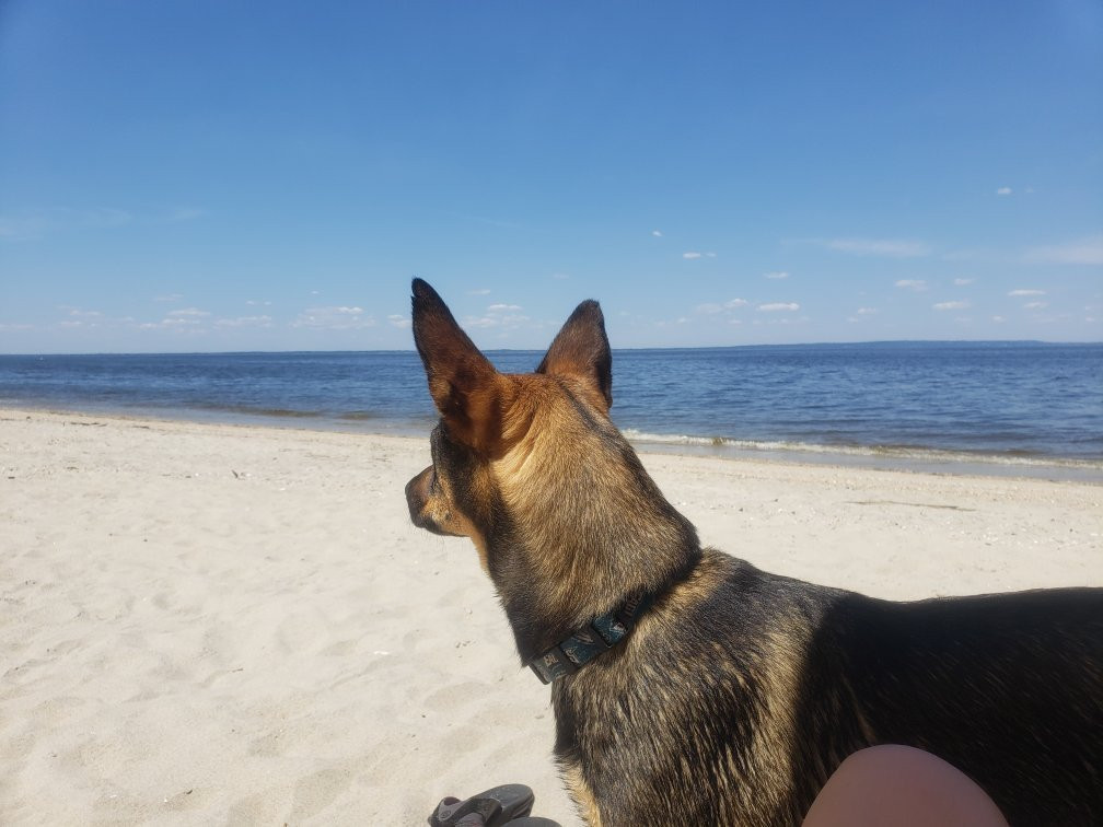 Ideal Beach景点图片