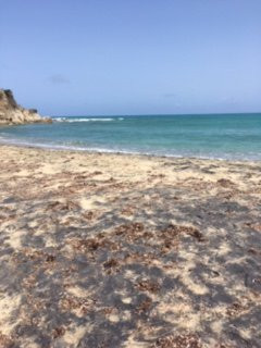 Casa de Amistad主图