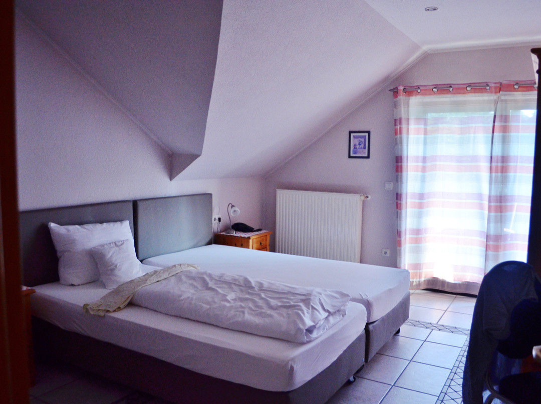 Landhaus Hotel Göke主图