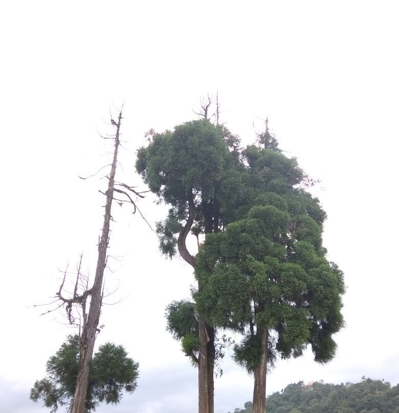 Rabdentse Ruins-Pelling必去景点