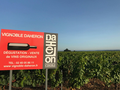 VIGNOBLE DAHERON-Lege必去景点