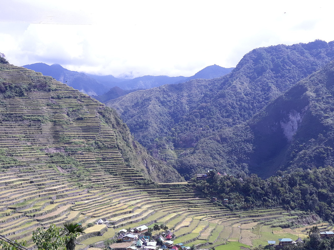 Batad View Inn and Restaurant主图