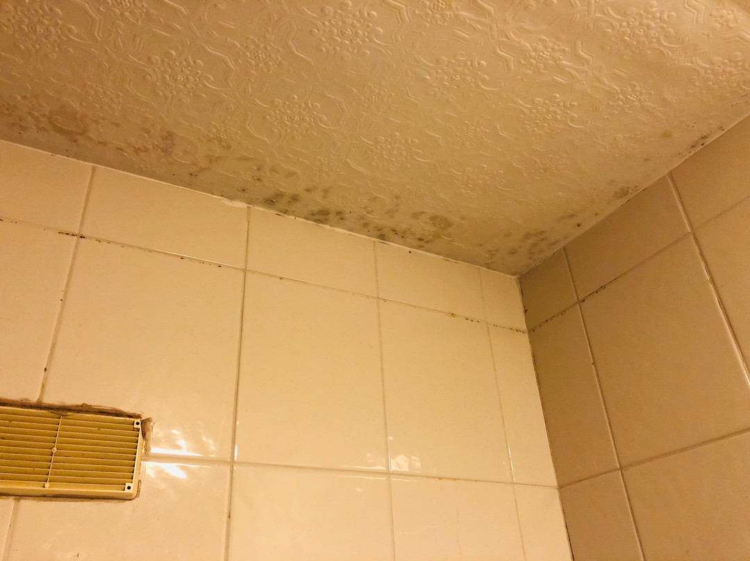 贝斯特韦斯特健康法院酒店主图