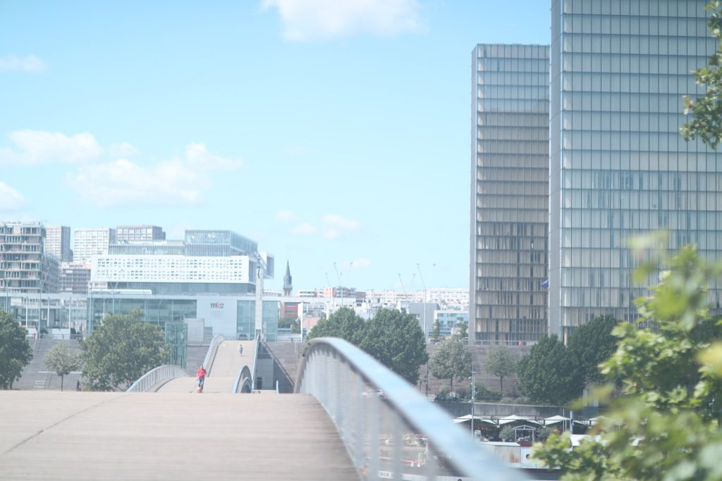 Passerelle Simone-de-Beauvoir景点图片