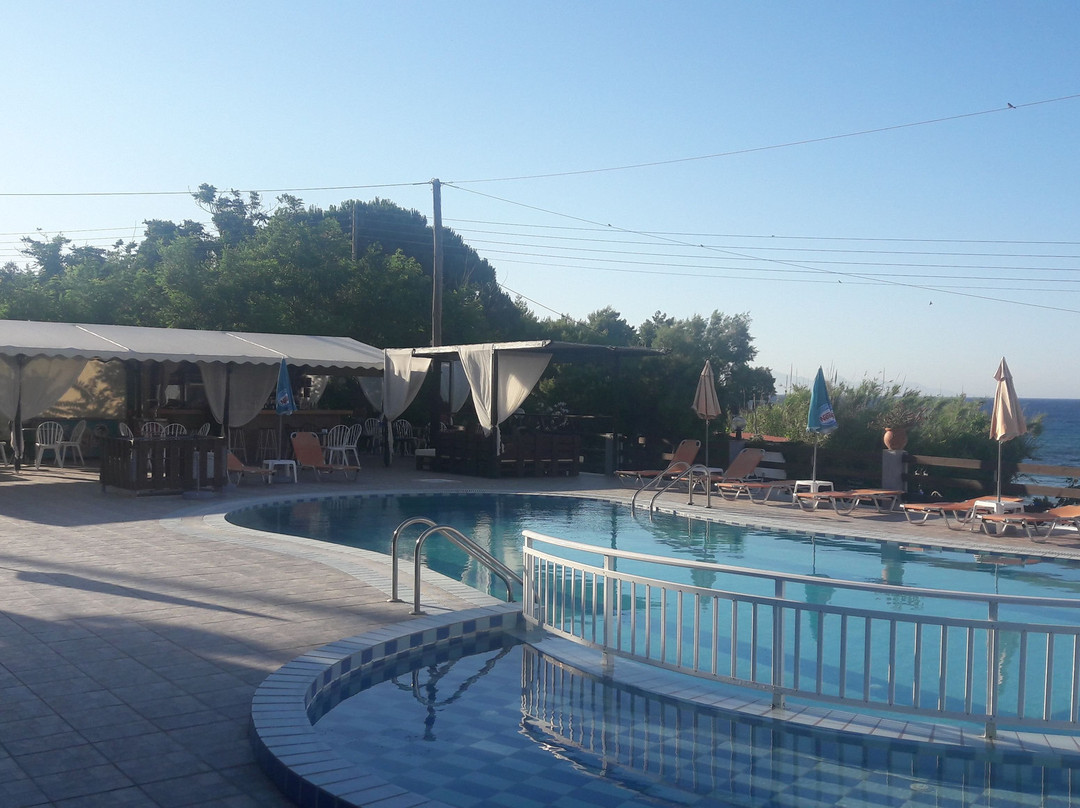 Amarylis Studios主图