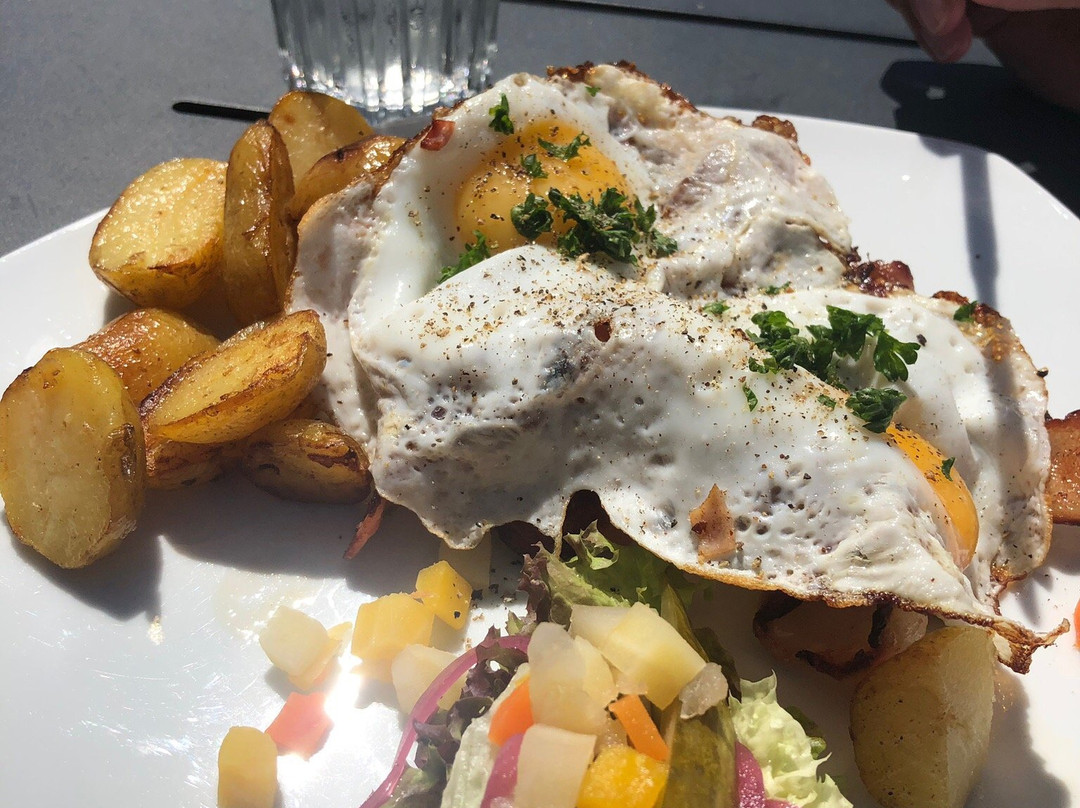 Ljunghusens Golfbana-Ljungskogen必去景点