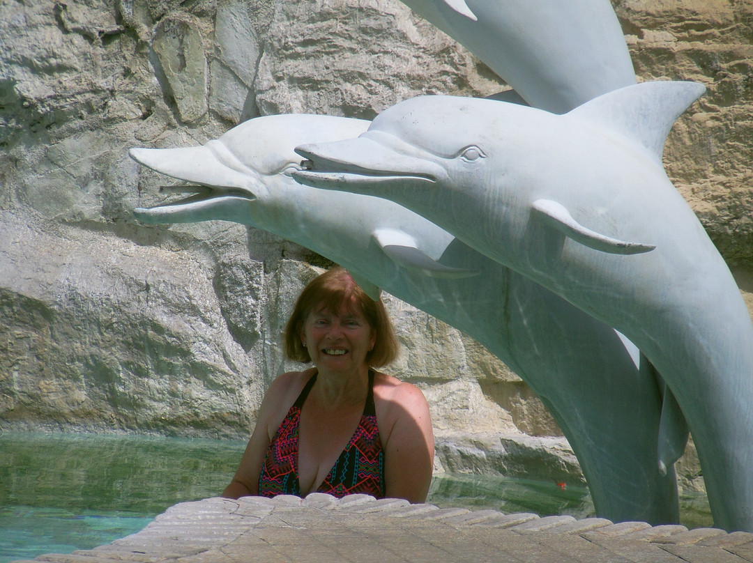 拉索尼莉萨大酒店主图