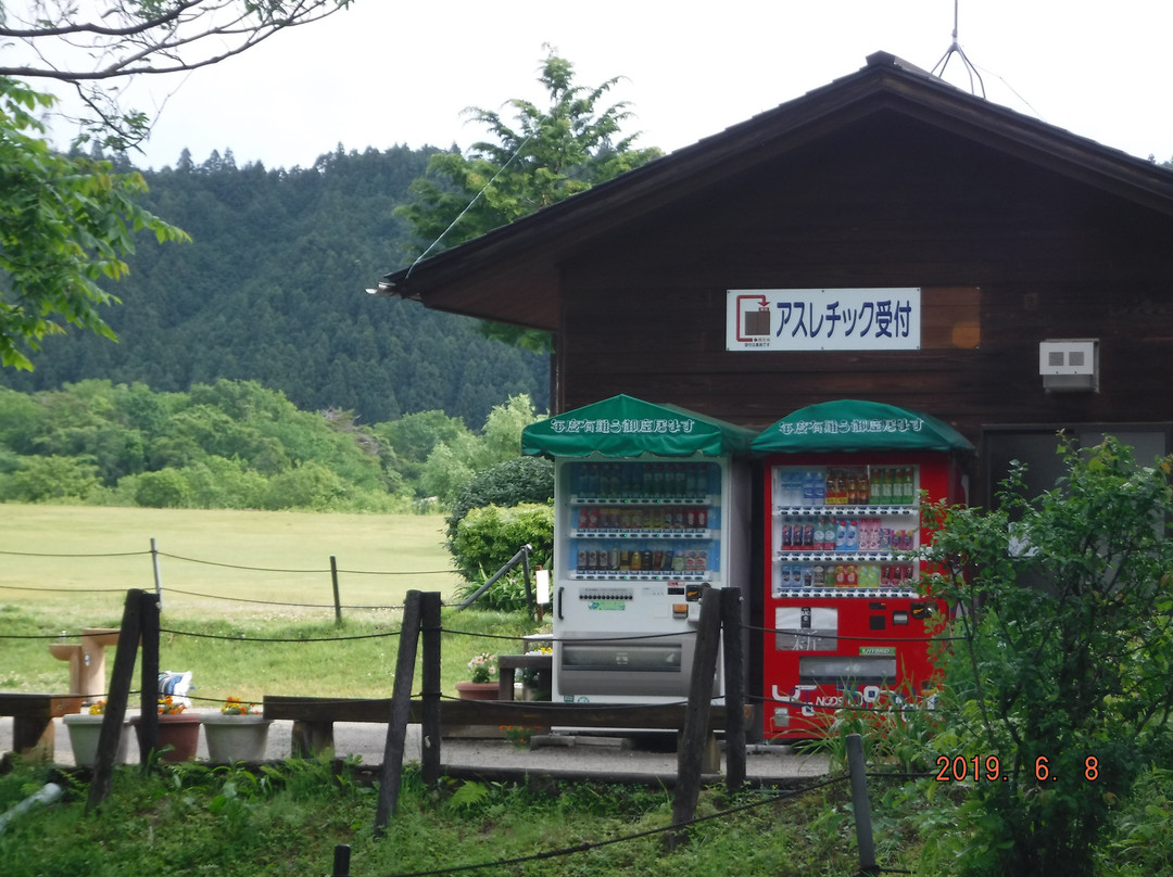 Nikko Daiyagawa Park景点图片