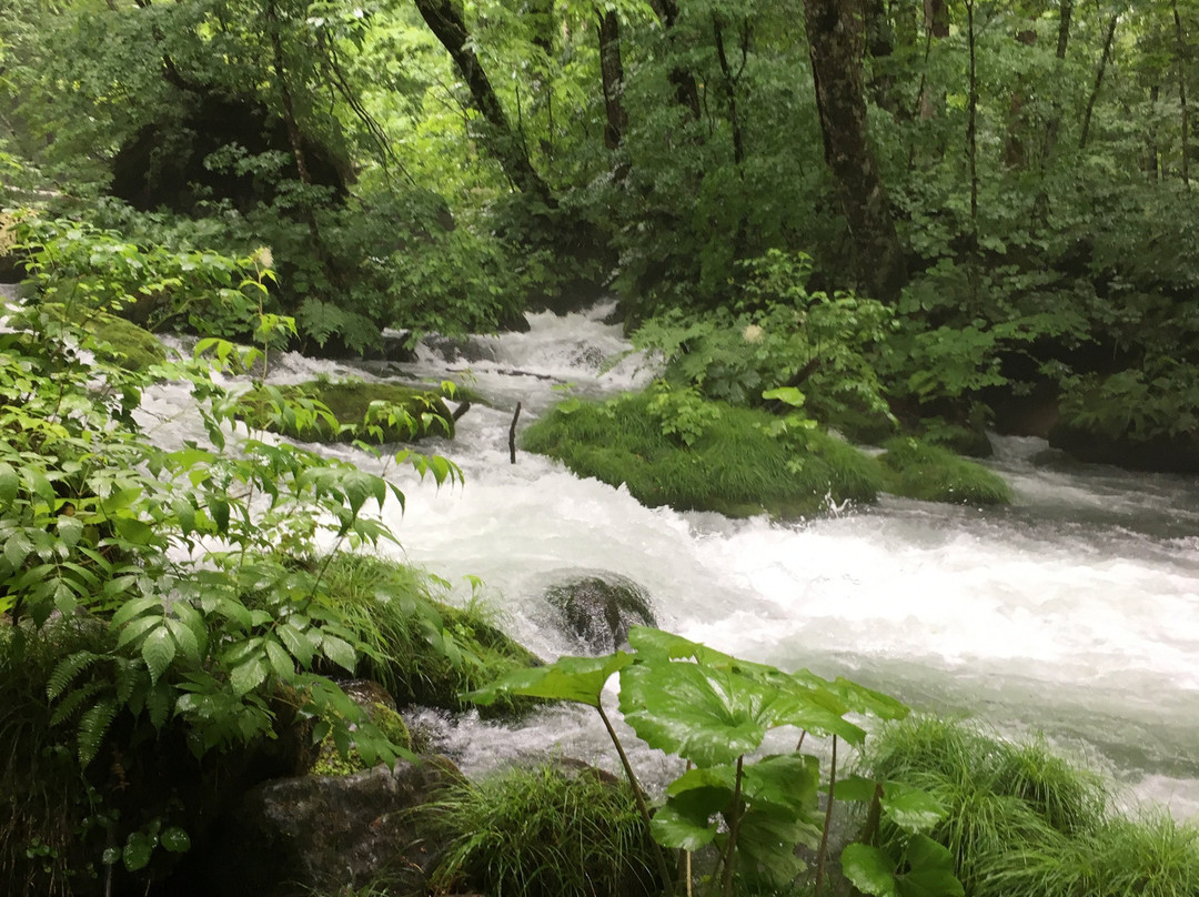 奥入濑溪-十和田市必去景点