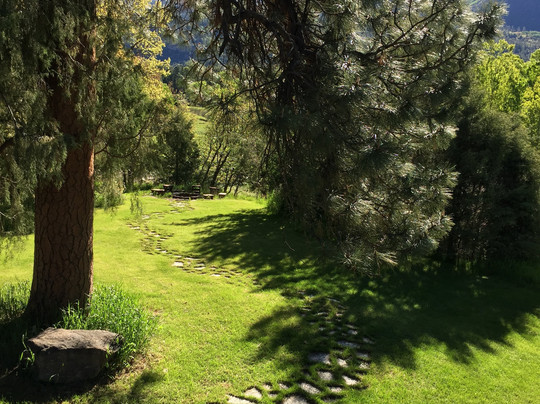 Country Sunshine Bed and Breakfast主图