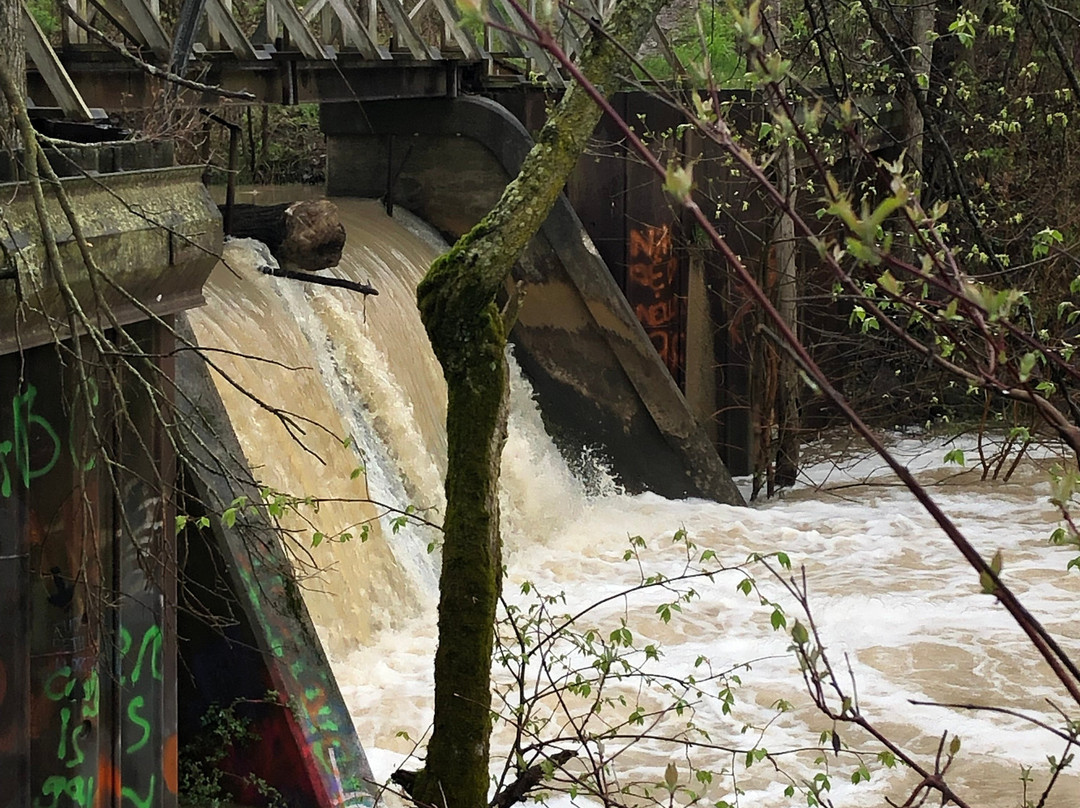 Day Light Falls-Napoleon必去景点