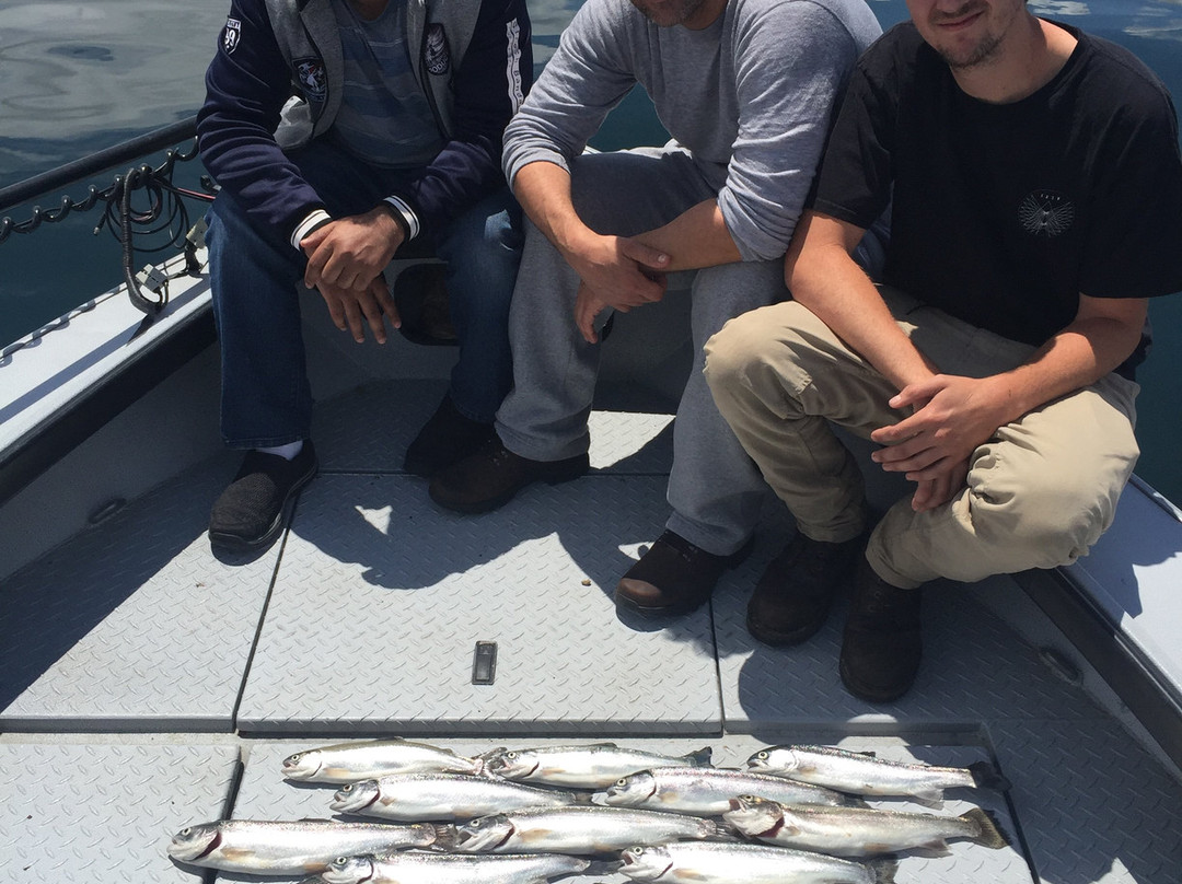 Folsom Lake State Recreation Area-佛森必去景点
