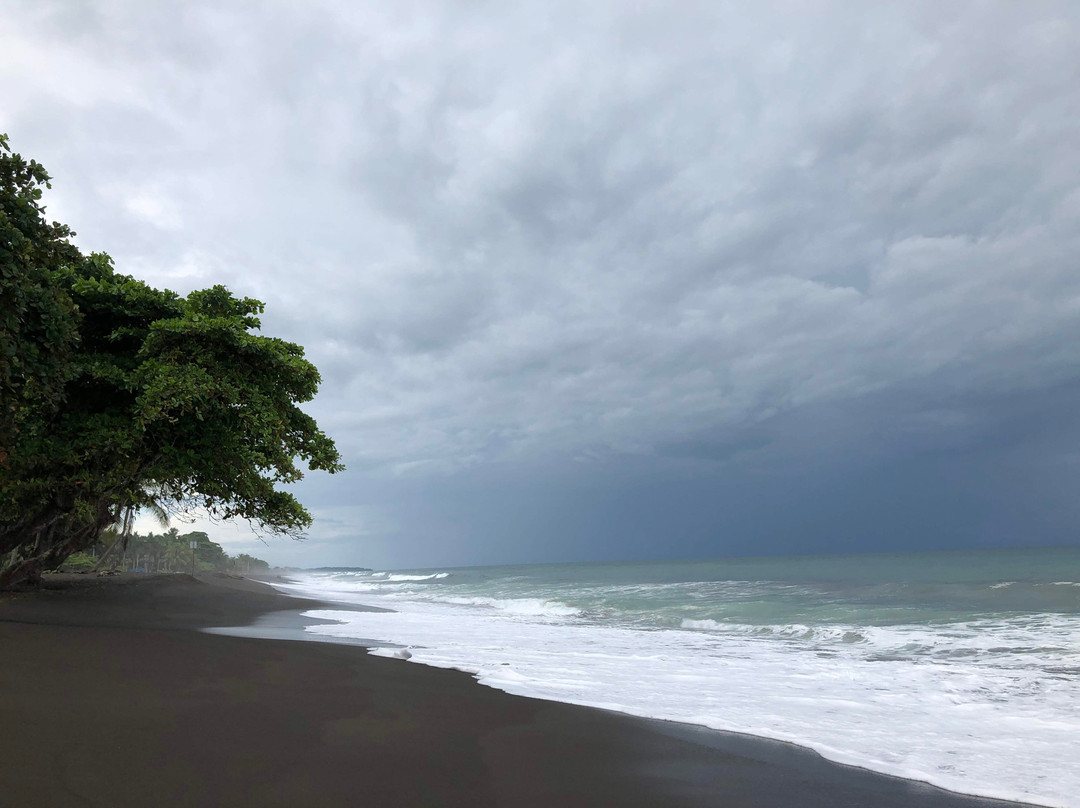 Terraza Del Pacifico主图