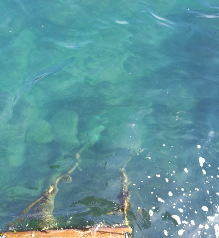 Cabanas do Araca Villa主图