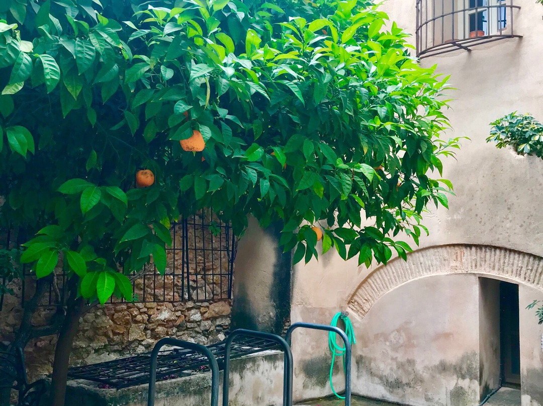 Palau de la Marqueseta-Carcaixent必去景点