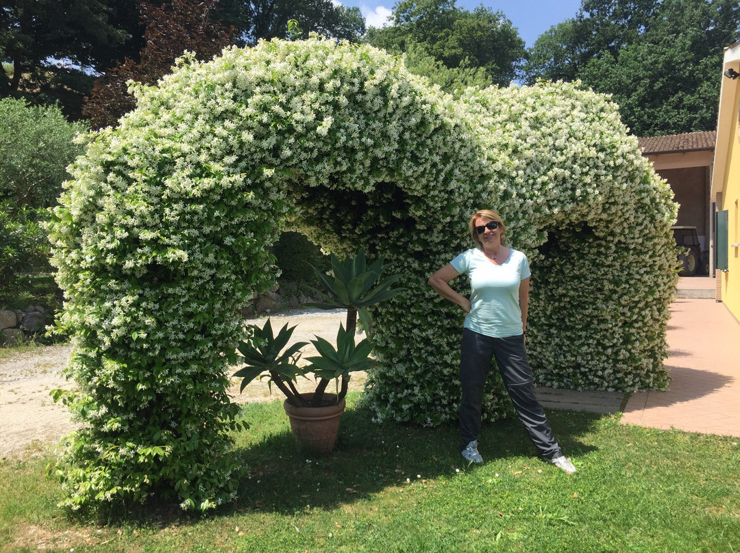 Agriturismo Dondino主图