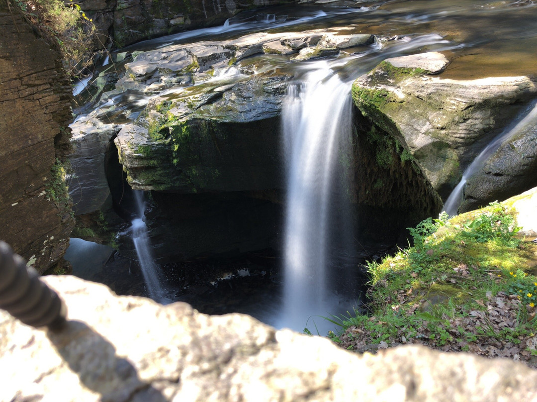 Aberdulais Tin Works & Waterfall景点图片