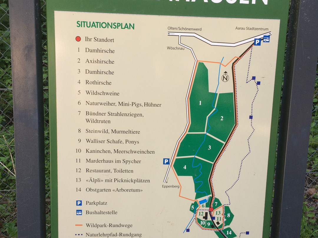 Wildpark Roggenhausen景点图片