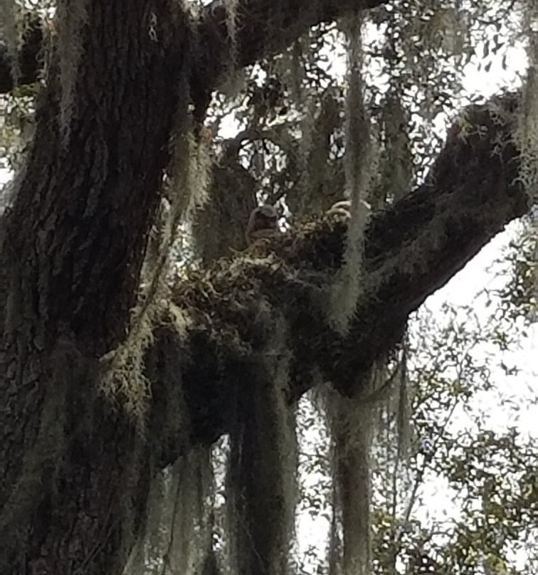 La Chua Trail-盖恩斯维尔必去景点