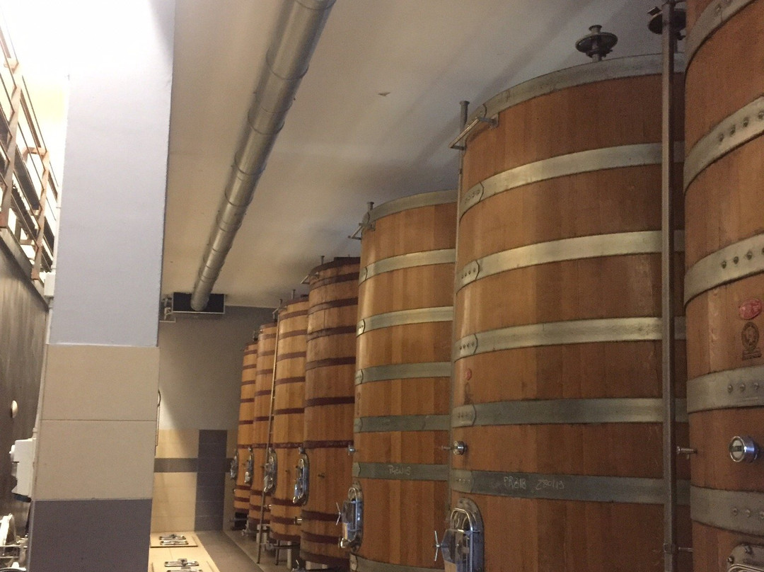 Apollonio Wine Company景点图片