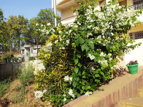 Hotel Prabhat Vihar主图