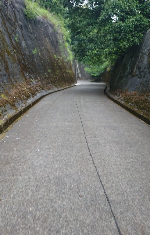 Shiroyama Park-君津市必去景点