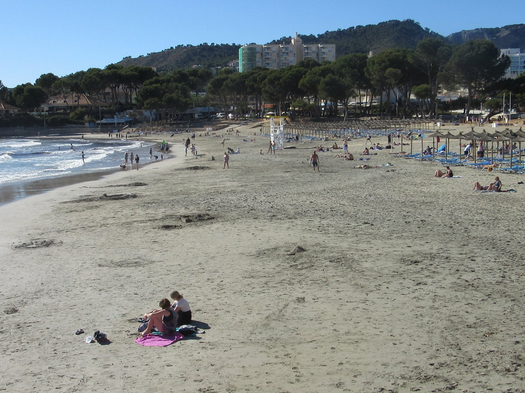Hotel Vibra Beverly Playa主图