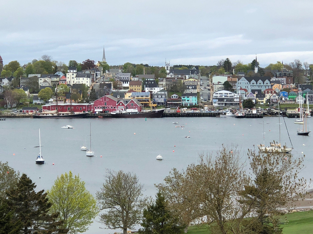 Blue Diamond Tours-哈利法克斯必去景点