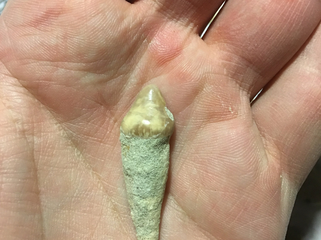 Ernst Quarries-贝克斯菲尔德必去景点