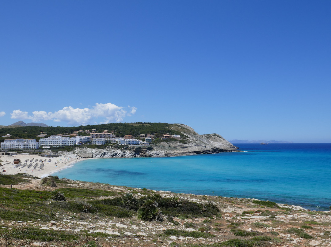 Speedboat Cala Ratjada-Cala Ratjada必去景点
