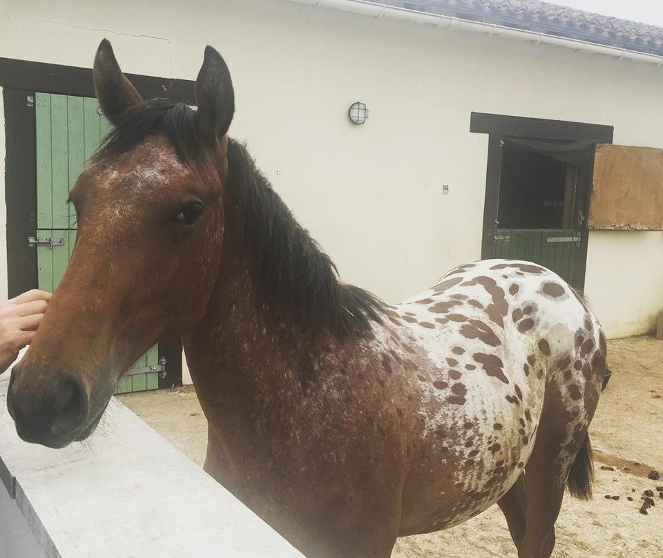 Les Roffies Chambres d'Hotes主图