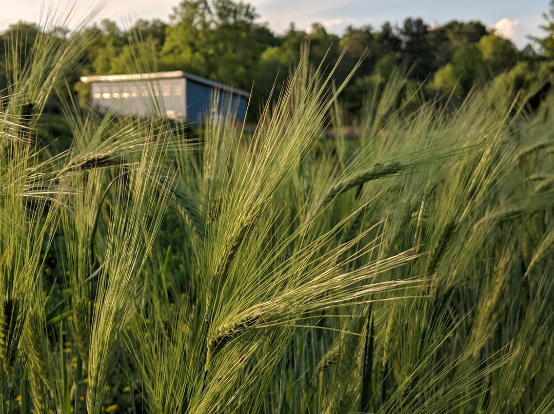 Sideways Farm & Brewery景点图片