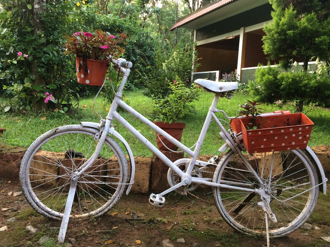 Chilipili Estate Stay主图