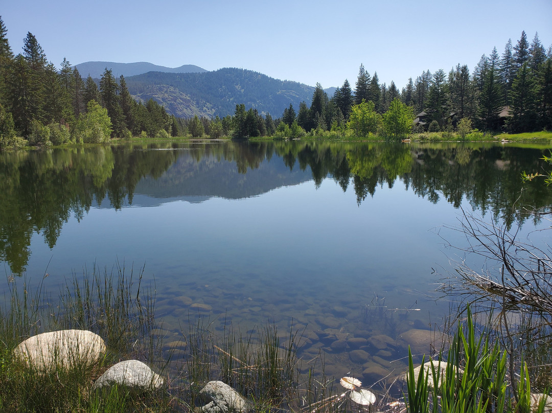 Freestone Inn & Cabins主图