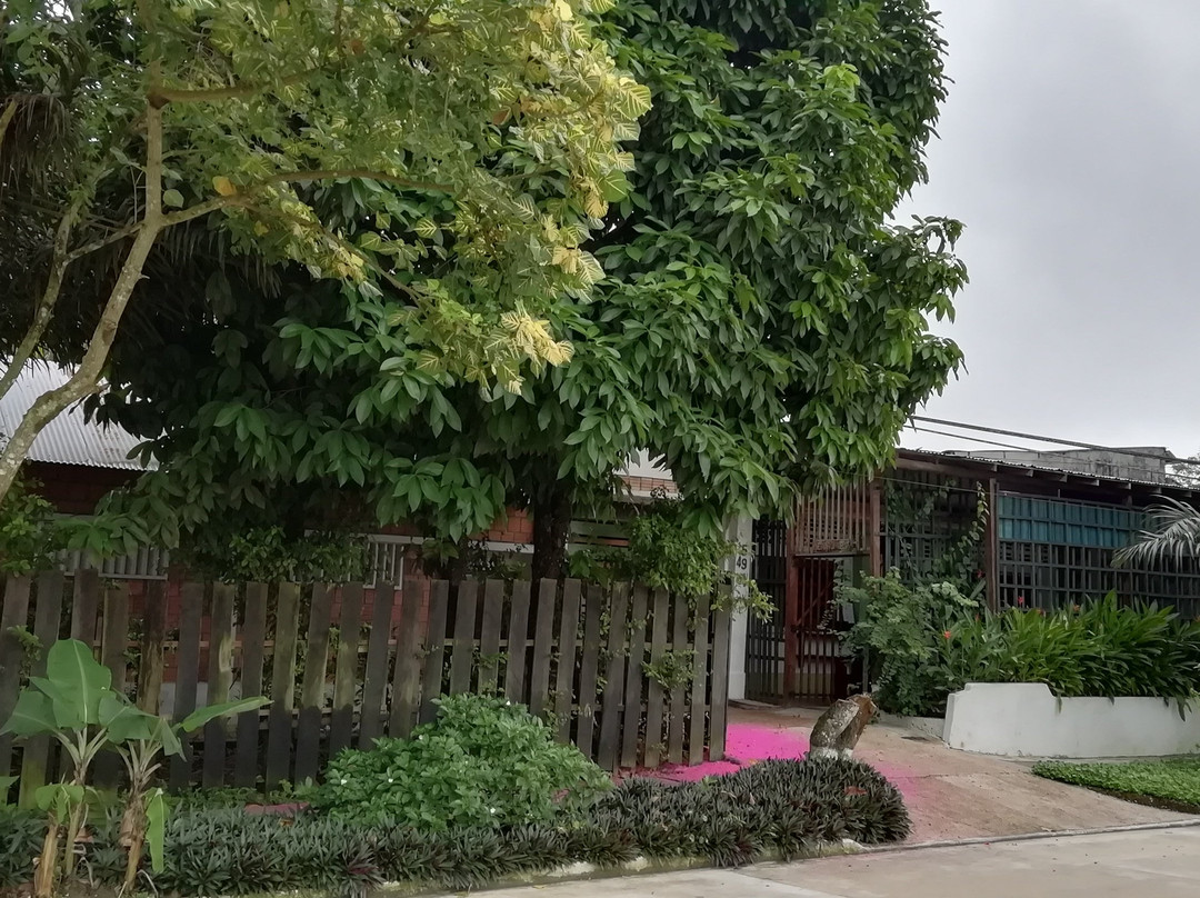 Hotel Malokamazonas主图