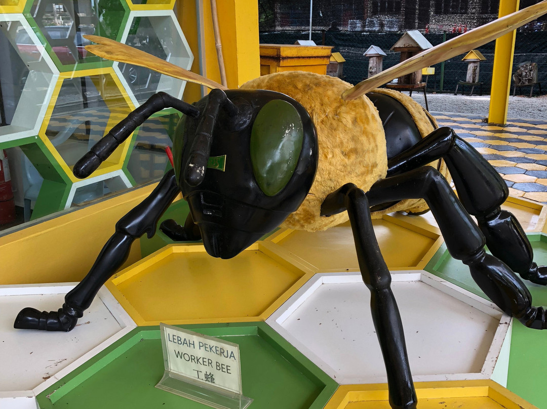 Bee Gallery Melaka-马六甲必去景点