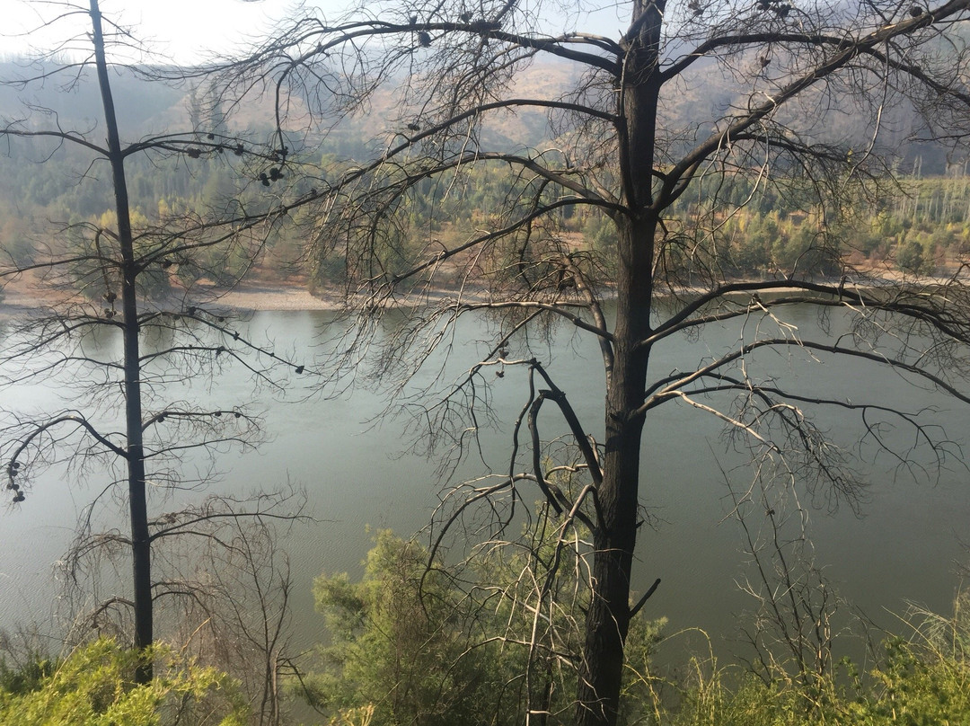 Ramal Talca - Constitucion - Train-Constitucion必去景点