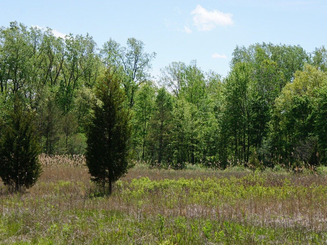 Lower Huron Metropark-Belleville必去景点