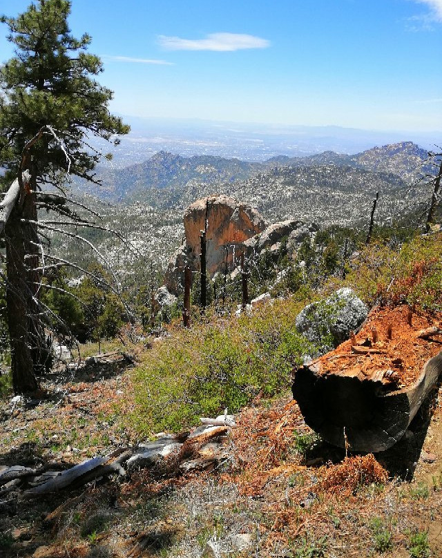Mount Lemmon Trail-Mount Lemmon必去景点