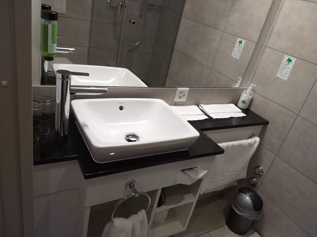 Jet Hotel Zurich Airport主图