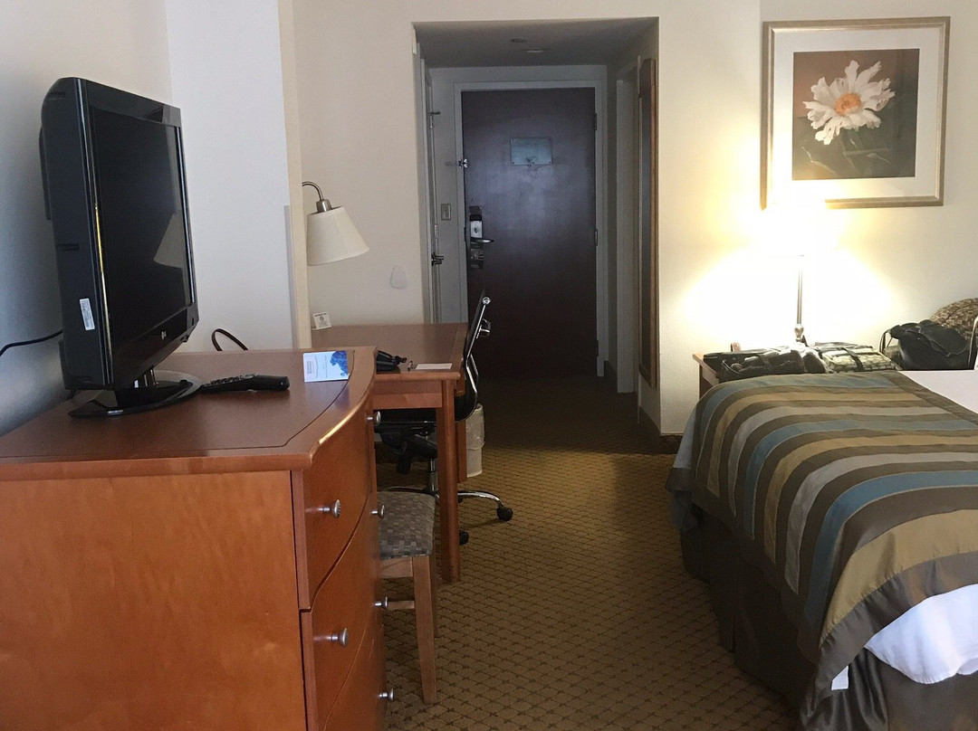 Spark by Hilton Winchester主图