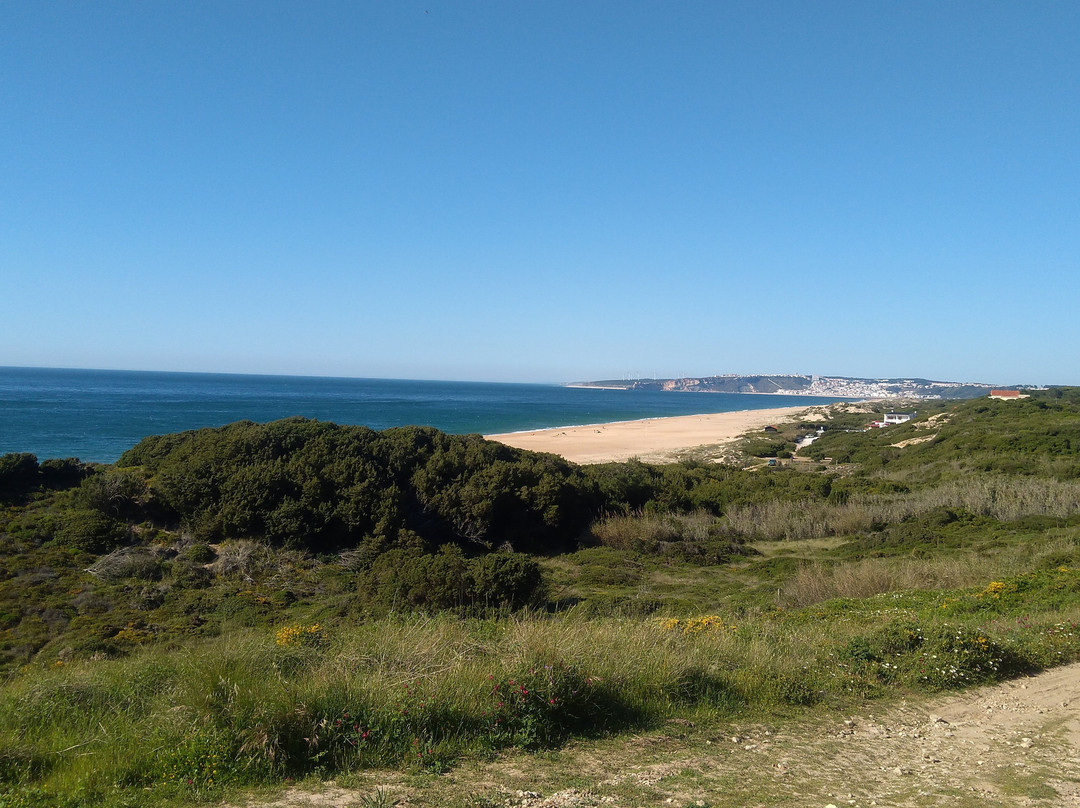 Praia do Salgado-Sao Martinho do Porto必去景点