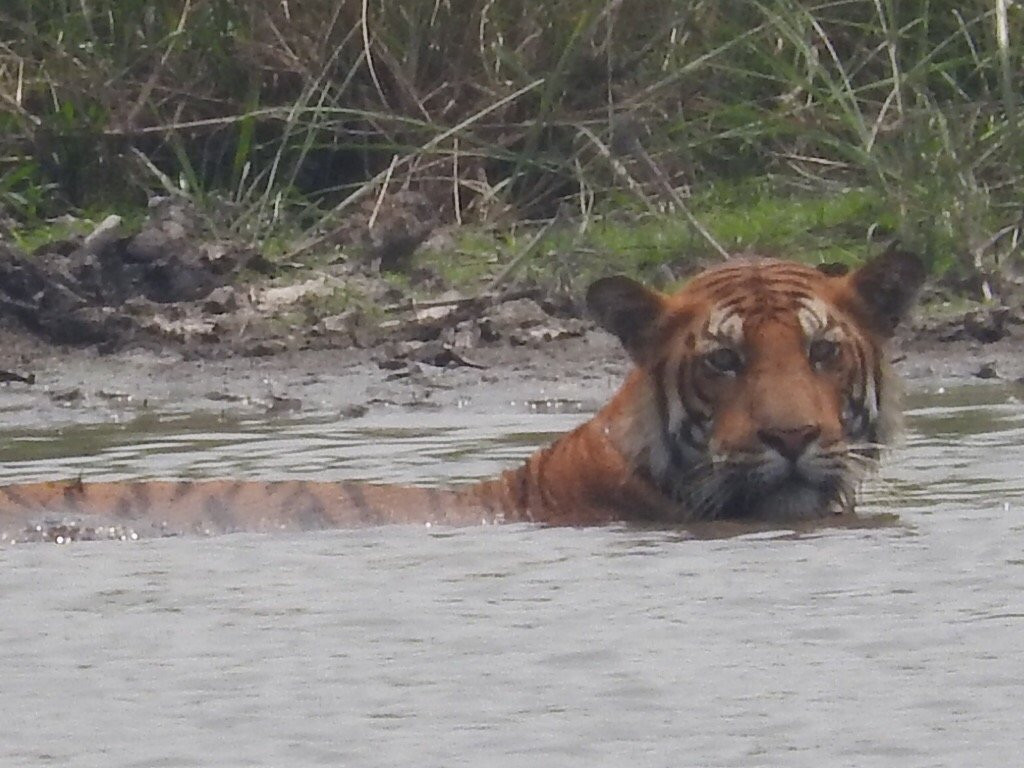Ever Wild Trek & Tours-奇旺国家公国必去景点