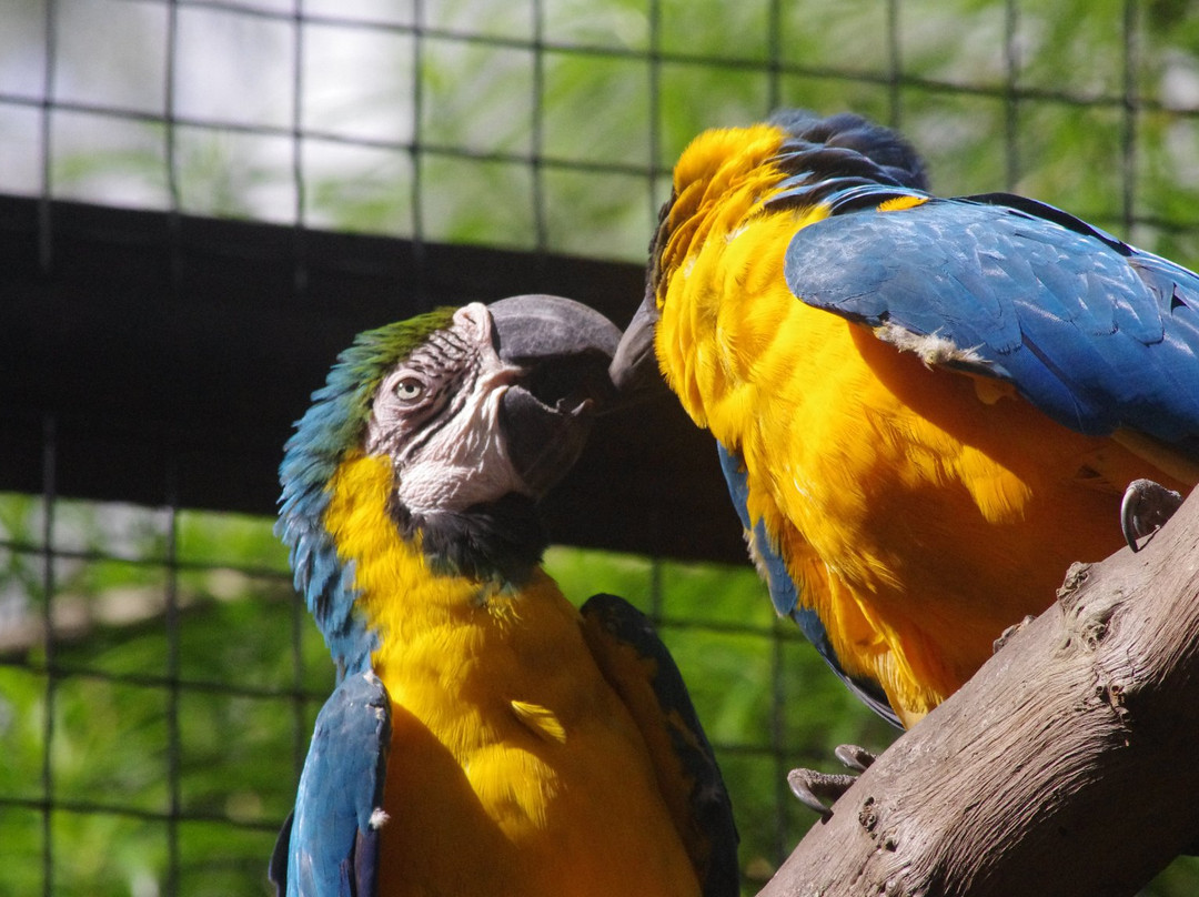Ninoy Aquino Parks and Wildlife Center-奎松市必去景点